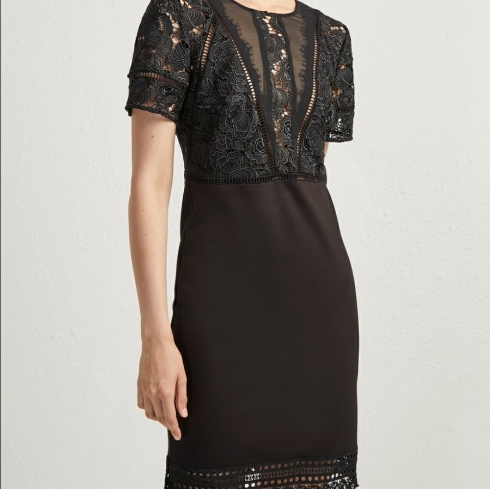 French Connection viola Lula lace dress